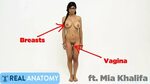 Mia Khalifa is educating us on the female anatomy or some bu